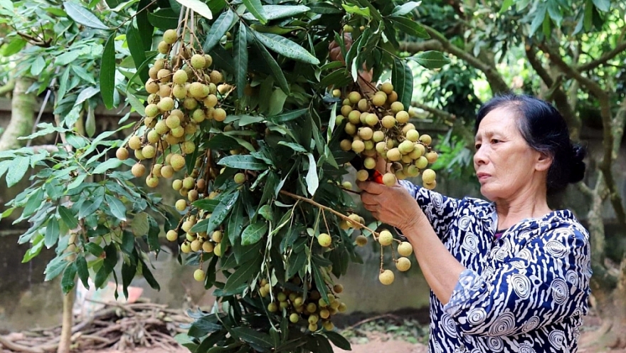 Đồng hành cùng địa phương đẩy mạnh tiêu thụ nông sản ở trong, ngoài nước