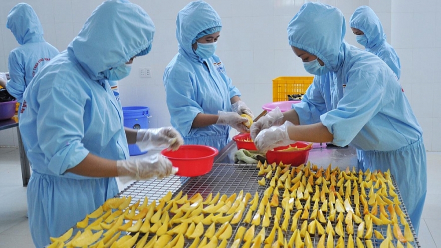 Dư địa xuất khẩu rau quả sang thị trường EU còn rất lớn