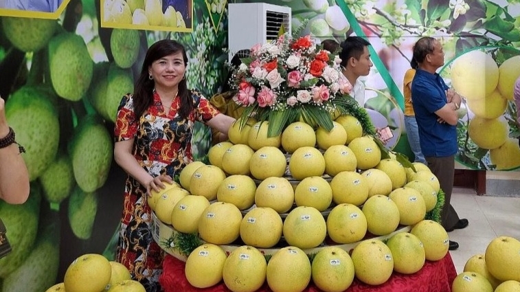 Mở rộng kênh tiêu thụ bưởi Phúc Trạch qua thương mại điện tử