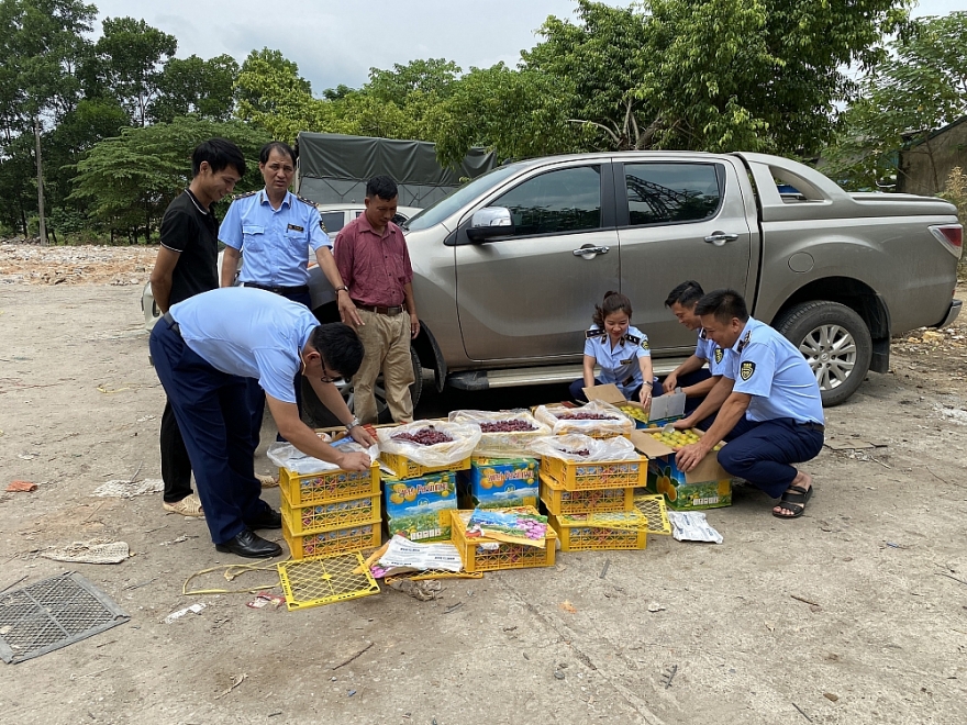 Kịp thời xử lý nhiều cá nhân, cơ sở kinh doanh rau, củ, quả không rõ nguồn gốc