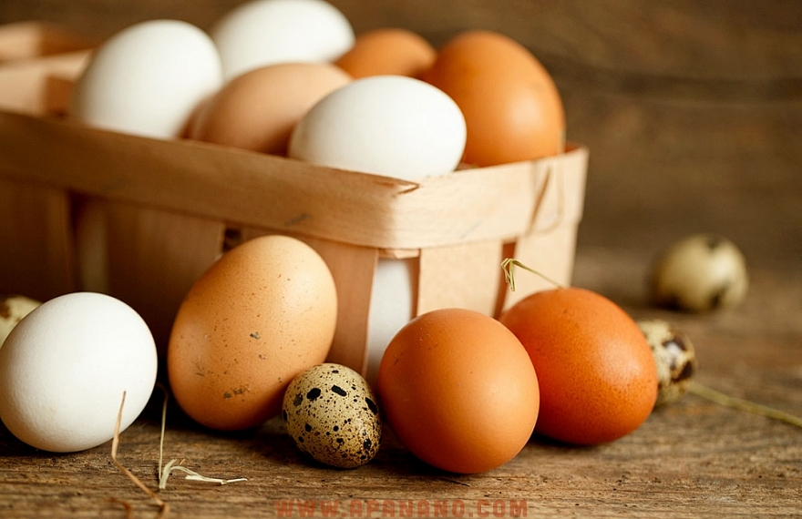 Phân giao hạn ngạch thuế quan nhập khẩu muối, trứng gia cầm năm 2024 Phân giao hạn ngạch thuế quan nhập khẩu muối, trứng gia cầm năm 2024