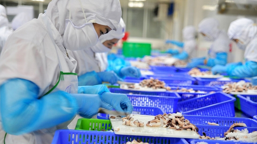 Xuất khẩu thủy sản trở lại đường đua và tăng tốc