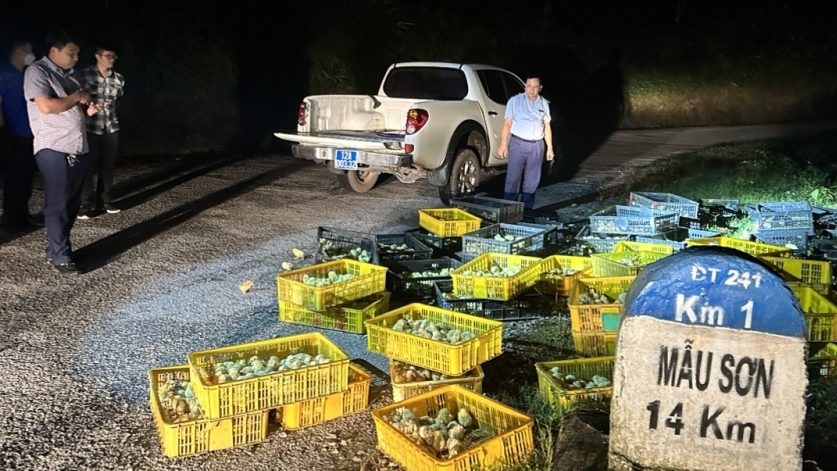 Ngăn chặn kịp thời gần 5.000 con gà giống nhập lậu