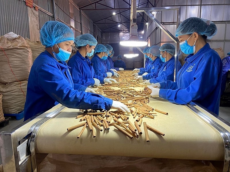 Những mặt hàng xuất khẩu của Việt Nam hấp dẫn trên thị trường Pakistan