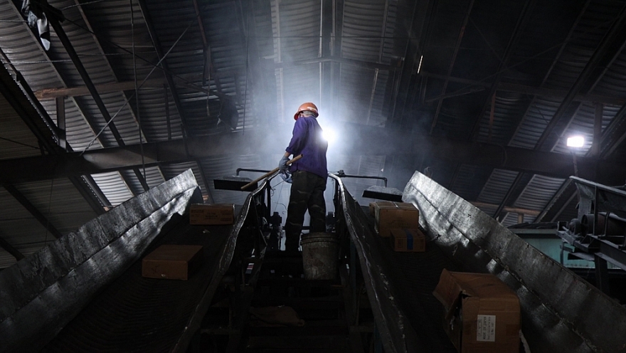 Tiêu hủy lô hàng trị giá trên 16 tỷ đồng