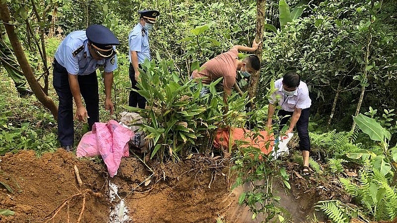 Quản lý thị trường cả nước siết chặt công tác phòng, chống dịch tả lợn châu Phi