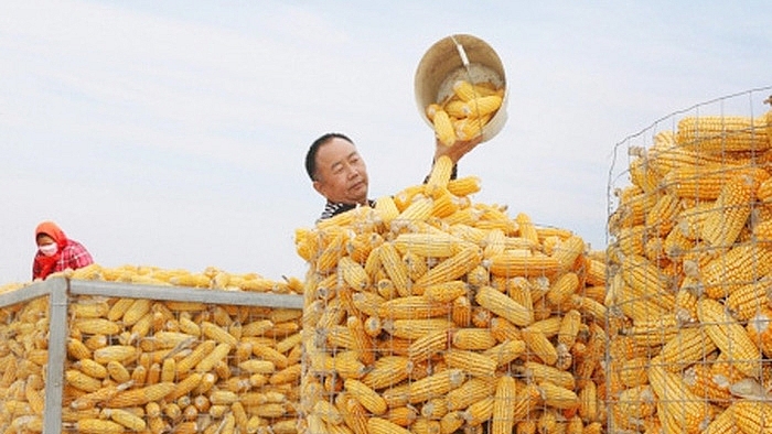 Mali tạm ngừng xuất khẩu một số mặt hàng nông sản