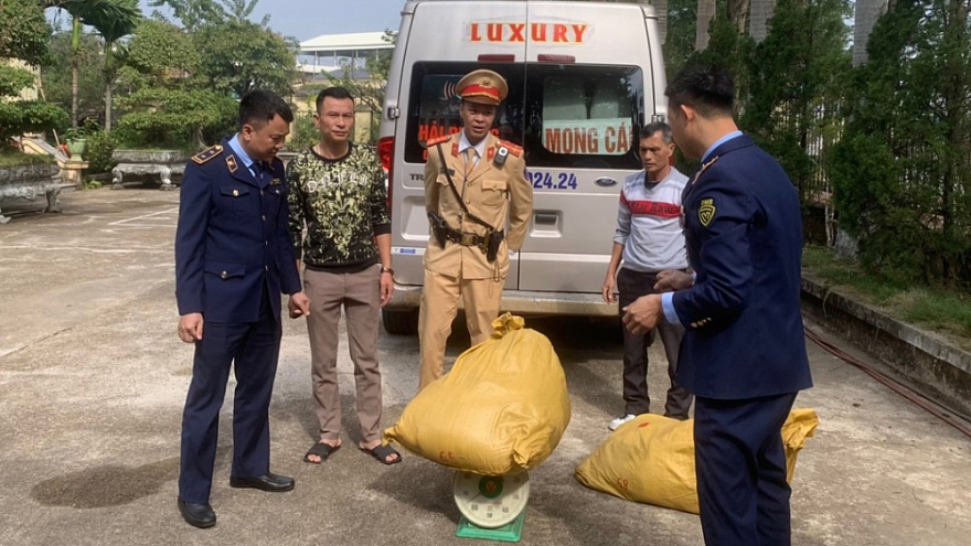 QLTT Quảng Ning ra quân giám sát, giữ ổn định thị trường dịp cuối năm QLTT Quảng Ninh ra quân giám sát, giữ ổn định thị trường dịp cuối năm