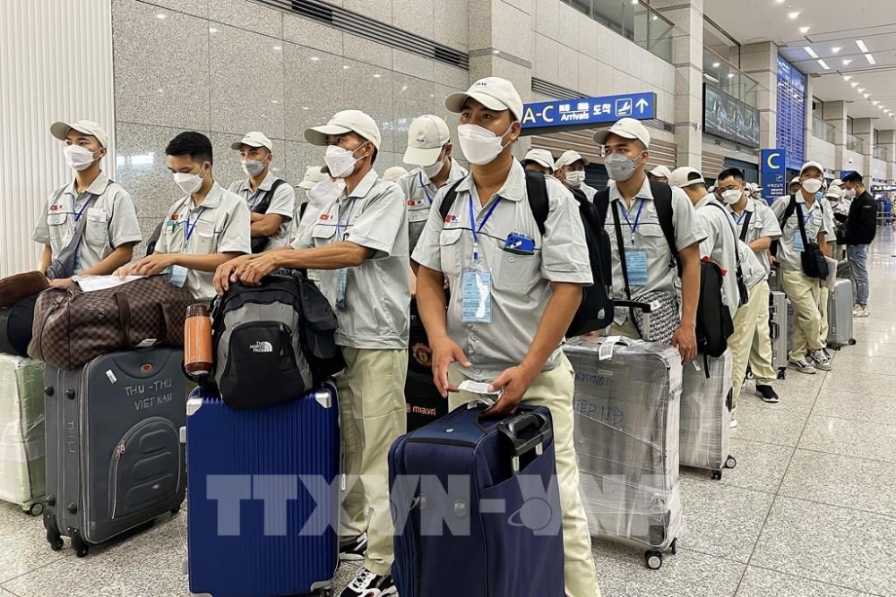 Cảnh báo tuyển lao động sang Hàn Quốc làm việc trái quy định