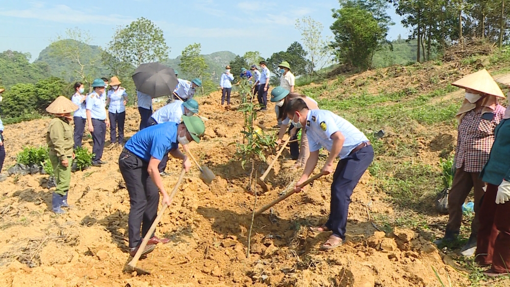 Trồng gần 770 triệu cây xanh trong 3 năm