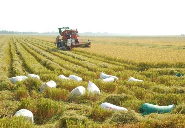 Khám phá vẻ đẹp Việt Nam qua các địa danh trên đồng tiền Khám phá vẻ đẹp Việt Nam qua các địa danh trên đồng tiền