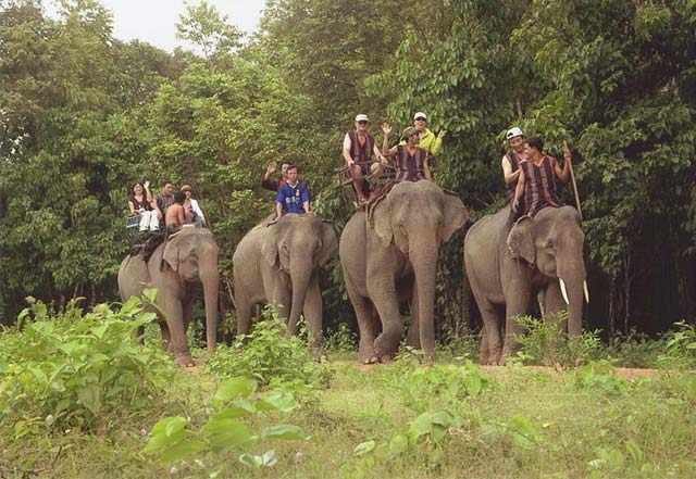 Khám phá vẻ đẹp Việt Nam qua các địa danh trên đồng tiền Khám phá vẻ đẹp Việt Nam qua các địa danh trên đồng tiền