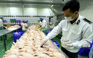 Đề xuất Danh mục vật thể thuộc diện kiểm dịch thực vật Đề xuất Danh mục vật thể thuộc diện kiểm dịch thực vật