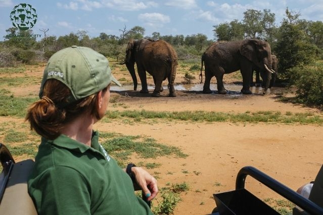 Những ngày Lễ lớn, sự kiện quan trọng diễn ra trong tháng 3 Những ngày Lễ lớn, sự kiện quan trọng diễn ra trong tháng 3