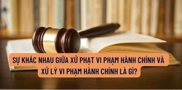 Áp dụng tình tiết giảm nhẹ, tăng nặng trong xử phạt vi phạm hành chính Áp dụng tình tiết giảm nhẹ, tăng nặng trong xử phạt vi phạm hành chính