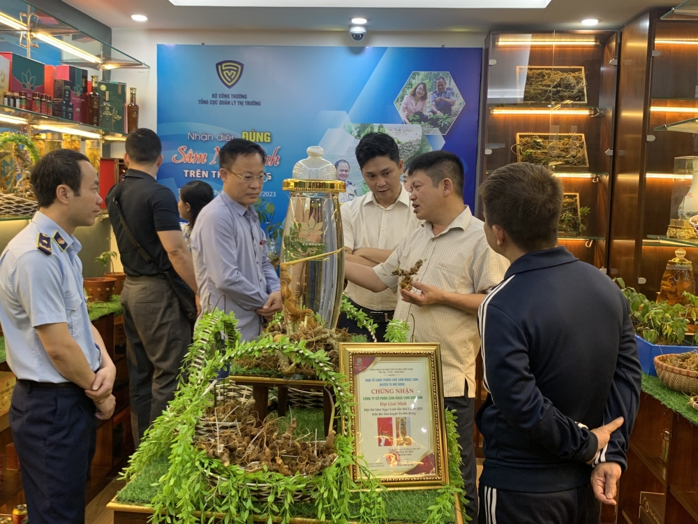 Phòng trưng bày "Nhận diện đúng sâm Ngọc Linh trên thị trường" hút khách thăm quan
