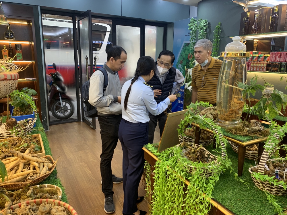 Phòng trưng bày "Nhận diện đúng sâm Ngọc Linh trên thị trường" hút khách thăm quan