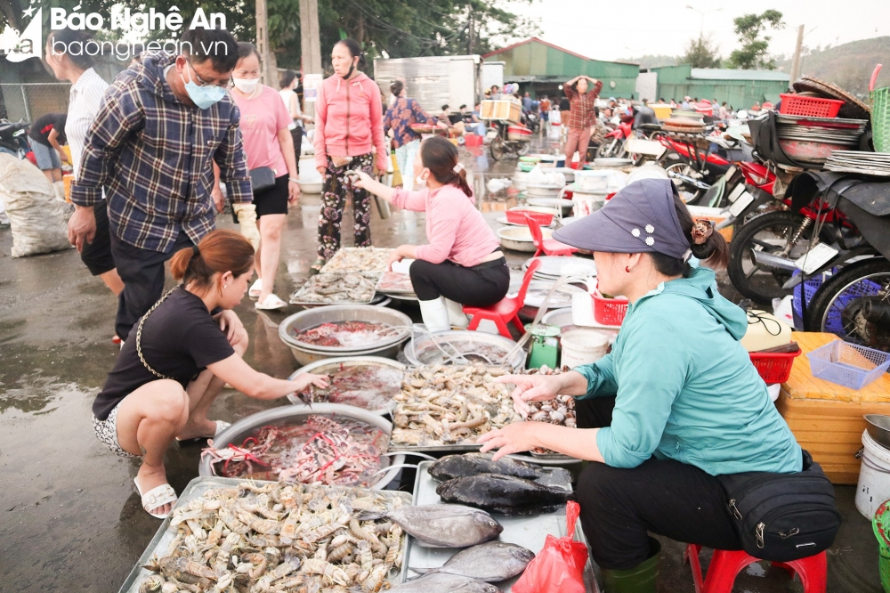 Nghệ An: Vào mùa du lịch, hải sản bắt đầu 'nhích' giá Nghệ An: Vào mùa du lịch, hải sản bắt đầu 'nhích' giá
