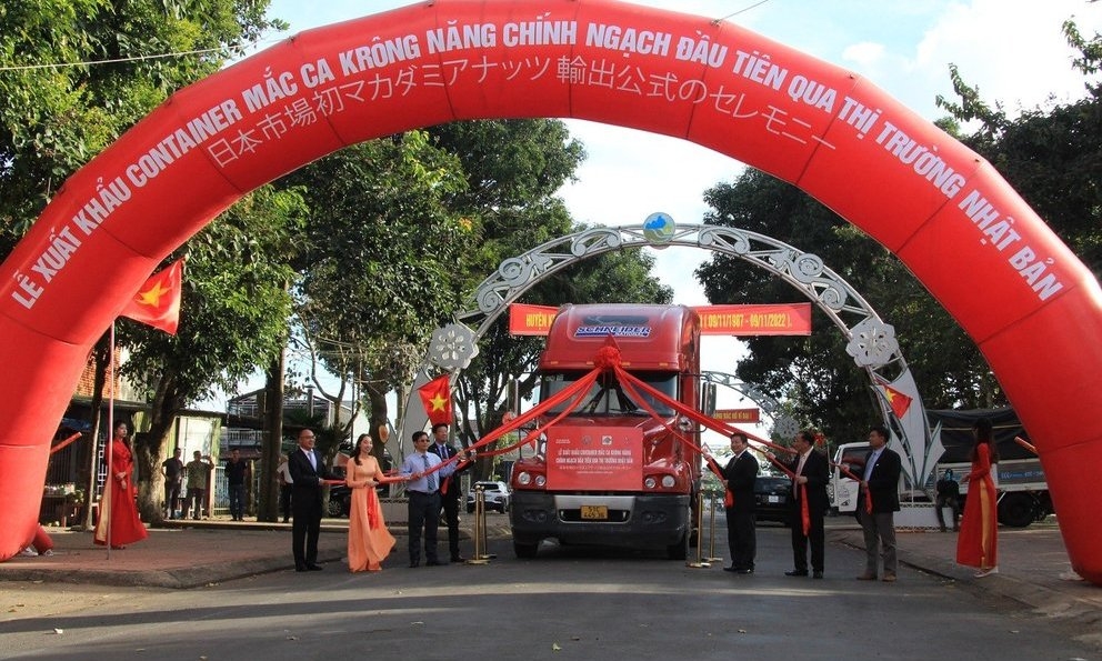 Vĩnh Long xuất khẩu chuyến hàng khoai lang đầu tiên theo đường chính ngạch Vĩnh Long xuất khẩu chuyến hàng khoai lang đầu tiên theo đường chính ngạch