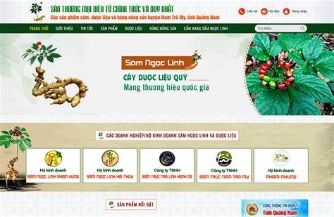 Sàn thương mại điện tử sâm Ngọc Linh, dược liệu