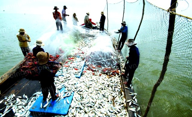 Vi phạm hành chính trong lĩnh vực thủy sản bị phạt tới 2 tỷ đồng Vi phạm hành chính trong lĩnh vực thủy sản bị phạt tới 2 tỷ đồng