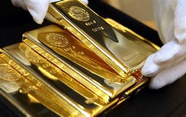 11 đơn vị tham dự đấu thầu vàng miếng SJC