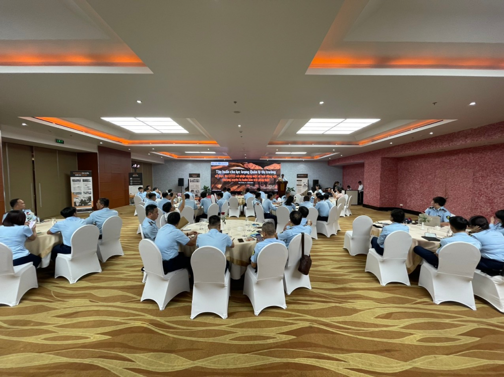 Tập huấn về phòng chống buôn bán trái phép động vật hoang dã và các sản phẩm làm từ ngà voi Tập huấn về phòng chống buôn bán trái phép động vật hoang dã và các sản phẩm làm từ ngà voi