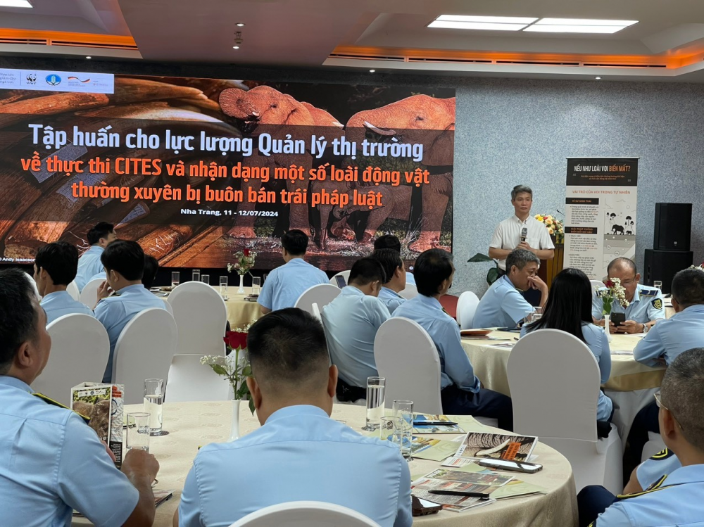 Tập huấn về phòng chống buôn bán trái phép động vật hoang dã và các sản phẩm làm từ ngà voi Tập huấn về phòng chống buôn bán trái phép động vật hoang dã và các sản phẩm làm từ ngà voi