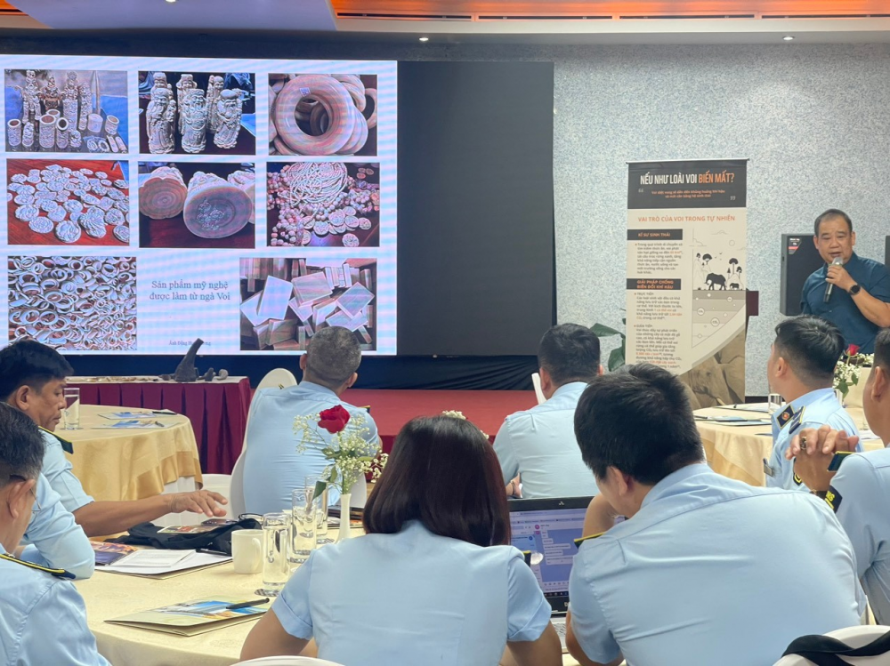 Tập huấn về phòng chống buôn bán trái phép động vật hoang dã và các sản phẩm làm từ ngà voi Tập huấn về phòng chống buôn bán trái phép động vật hoang dã và các sản phẩm làm từ ngà voi