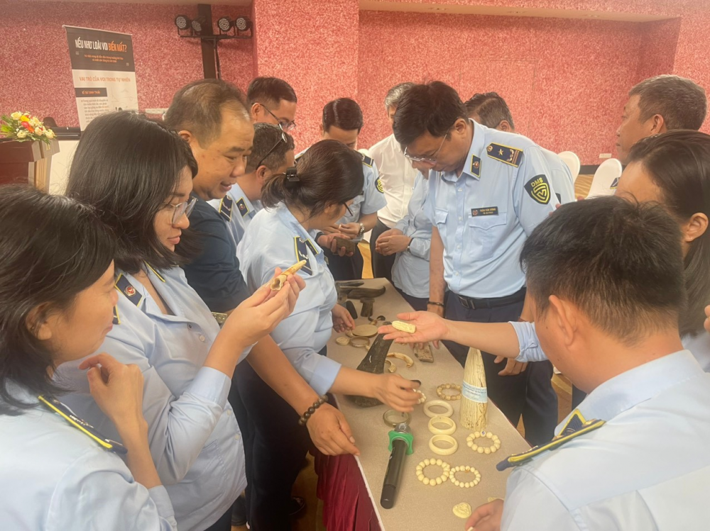 Tập huấn về phòng chống buôn bán trái phép động vật hoang dã và các sản phẩm làm từ ngà voi Tập huấn về phòng chống buôn bán trái phép động vật hoang dã và các sản phẩm làm từ ngà voi