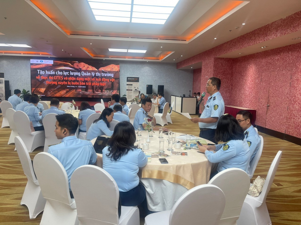 Tập huấn về phòng chống buôn bán trái phép động vật hoang dã và các sản phẩm làm từ ngà voi Tập huấn về phòng chống buôn bán trái phép động vật hoang dã và các sản phẩm làm từ ngà voi