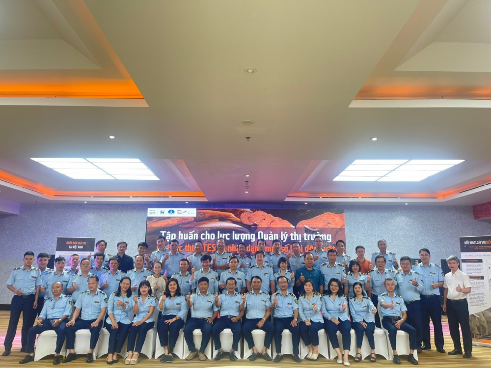 Tập huấn về phòng chống buôn bán trái phép động vật hoang dã và các sản phẩm làm từ ngà voi Tập huấn về phòng chống buôn bán trái phép động vật hoang dã và các sản phẩm làm từ ngà voi