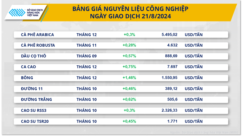 Giá cà phê lập kỷ lục lịch sử mới- Ảnh 2.