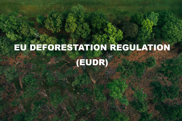 Hướng dẫn thực hiện Quy định chống phá rừng (EUDR) của EU Hướng dẫn thực hiện Quy định chống phá rừng (EUDR) của EU