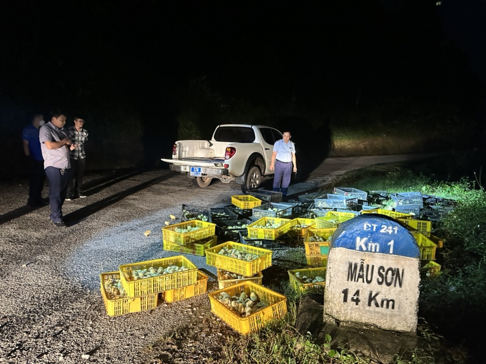 Những đêm trắng mật phục vùng biên Những đêm trắng mật phục vùng biên