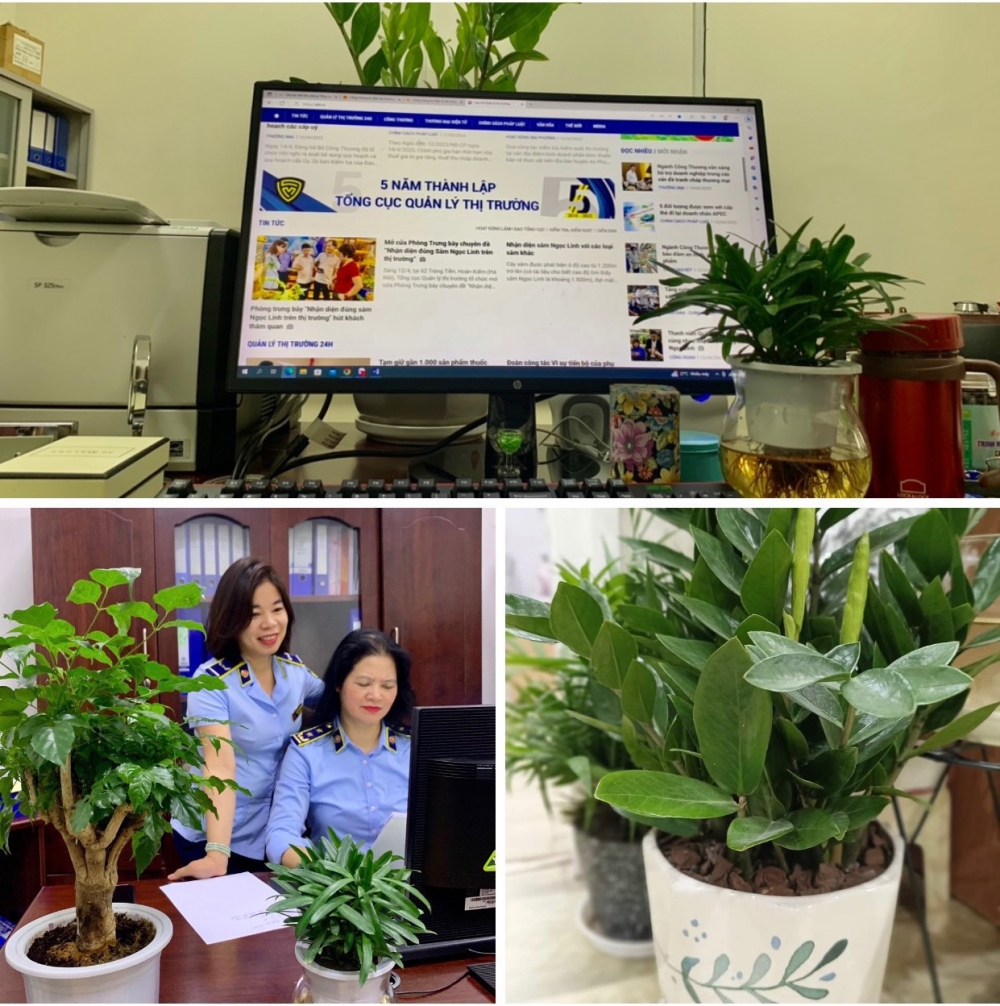 Công việc thầm lặng của những công chức “làm dâu trăm họ” Công việc thầm lặng của những công chức “làm dâu trăm họ”