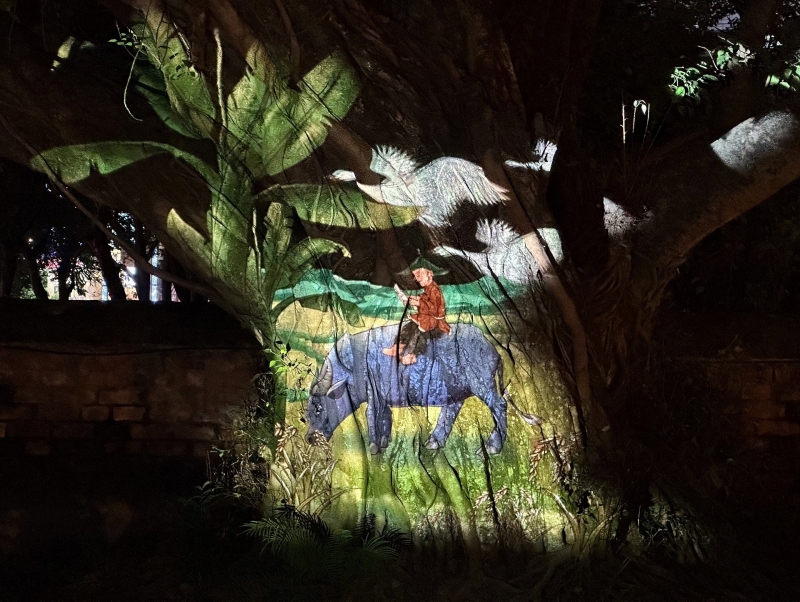 Tour du lịch ban đêm của Văn Miếu - Quốc Tử Giám Tour du lịch ban đêm của Văn Miếu - Quốc Tử Giám