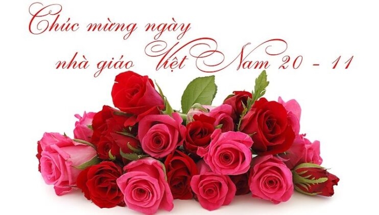 Ý nghĩa và nguồn gốc ngày Nhà giáo Việt Nam 20/11 không phải ai cũng biết