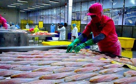 Việt Nam xuất siêu 8 năm liên tiếp Việt Nam xuất siêu 8 năm liên tiếp