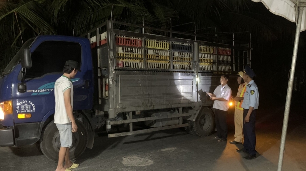 Tiền Giang: Triển khai quyết liệt, đồng bộ các giải pháp phòng, chống dịch tả lợn Châu Phi
