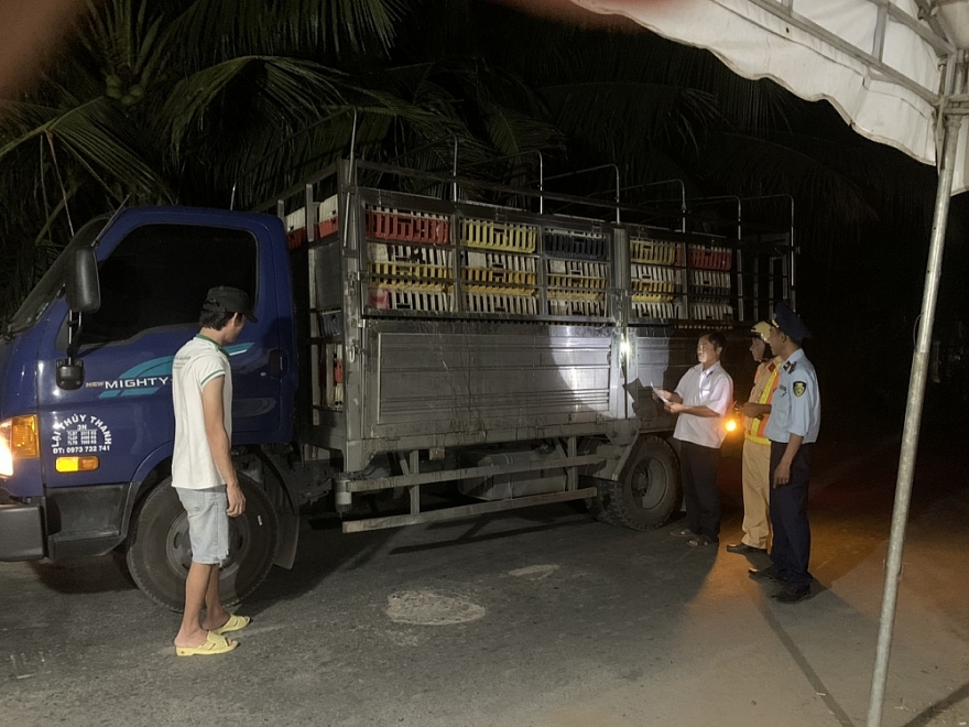 Tiền Giang: Triển khai quyết liệt, đồng bộ các giải pháp phòng, chống dịch tả lợn Châu Phi