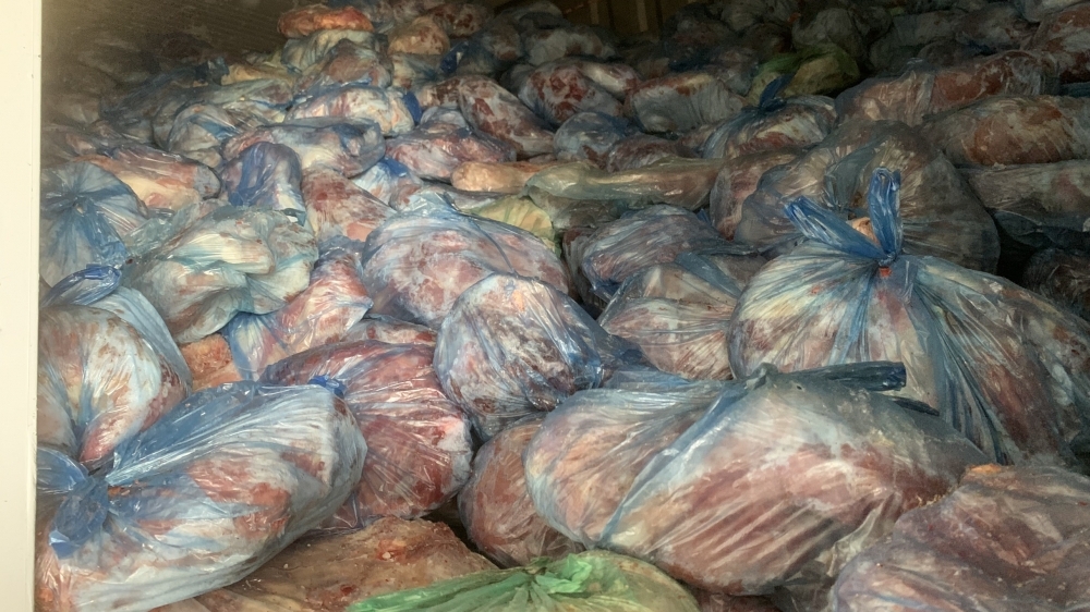 Phát hiện 40 tấn thịt lợn nhiễm dịch tả lợn châu Phi và dịch bệnh tai xanh