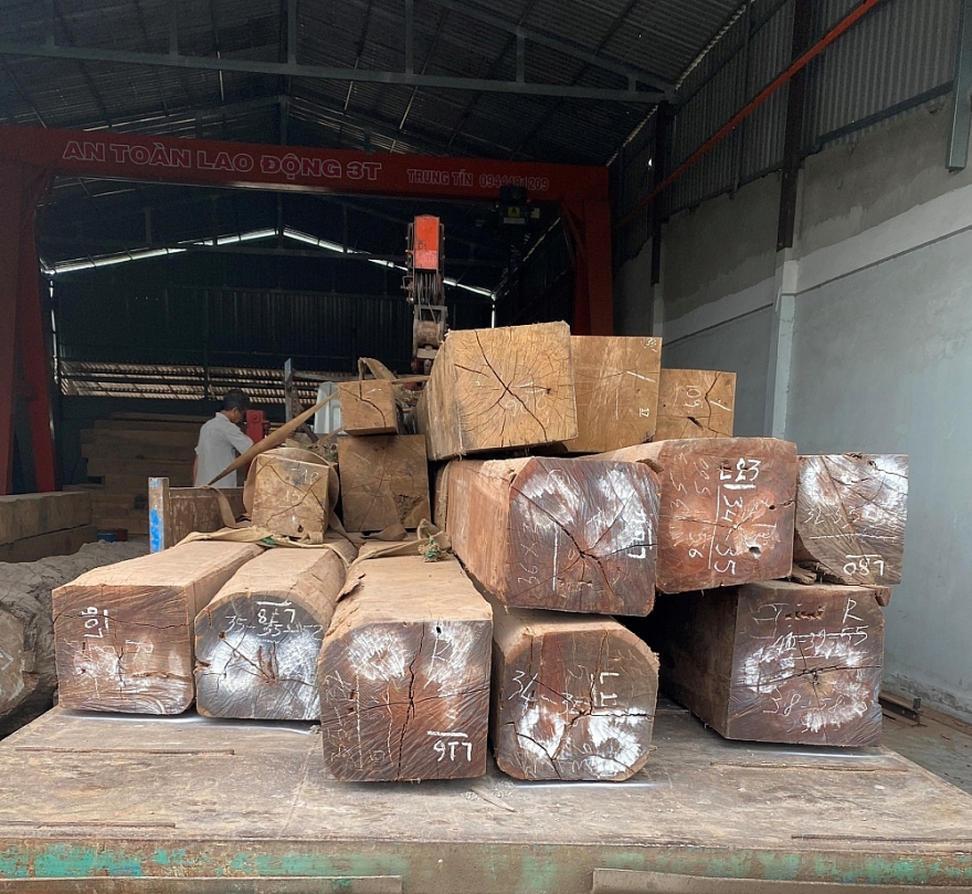 Xử phạt 01 cơ sở chế biến lâm sản tại Tiền Giang trên 60 triệu đồng Xử phạt 01 cơ sở chế biến lâm sản tại Tiền Giang trên 60 triệu đồng