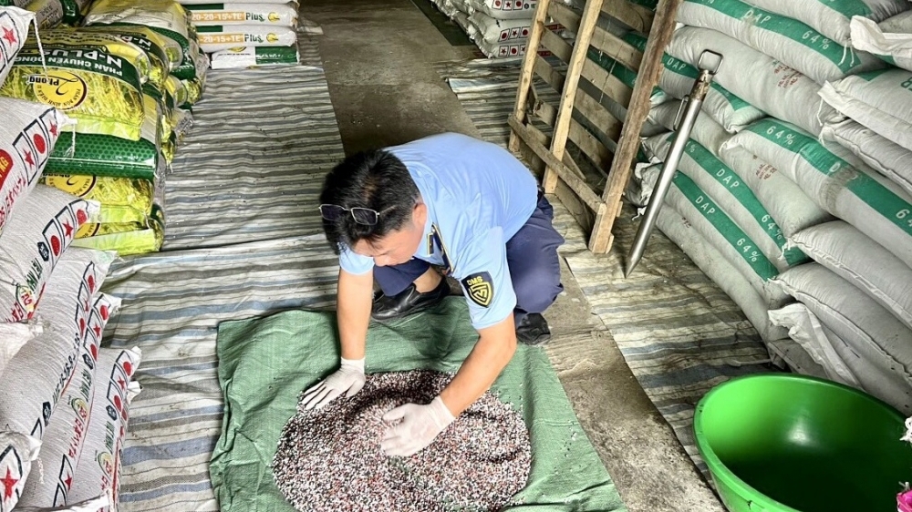 Kiên Giang: Xử lý 43 vụ, thu nộp ngân sách trên 1,2 tỷ đồng trong tháng cao điểm Tết