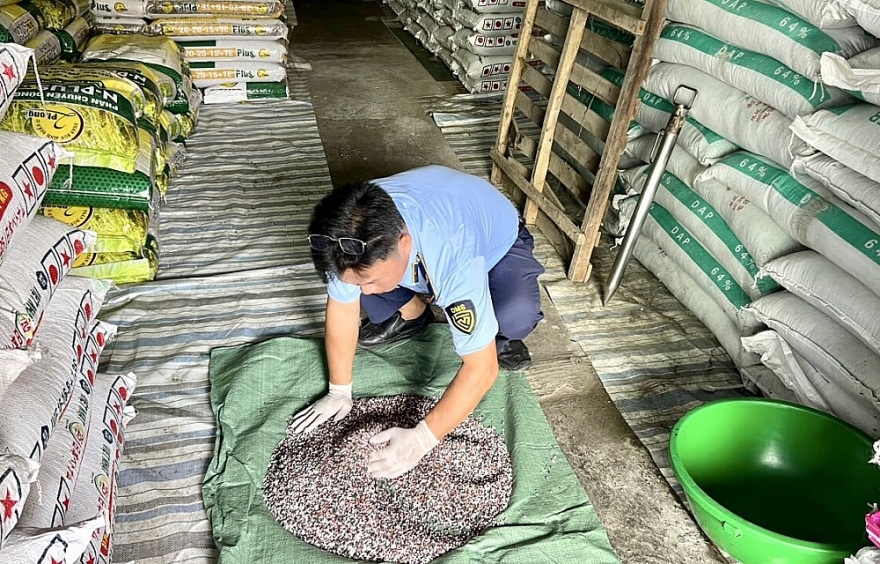 Kiên Giang: Xử lý 43 vụ, thu nộp ngân sách trên 1,2 tỷ đồng trong tháng cao điểm Tết