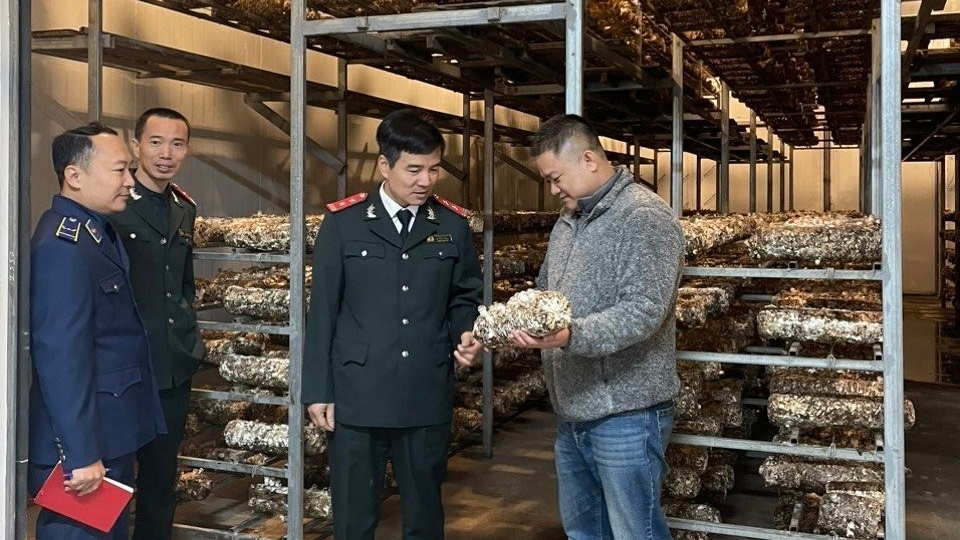 Kiểm tra ATTP trong dịp Tết Nguyên đán Giáp Thìn và mùa Lễ hội Xuân năm 2024