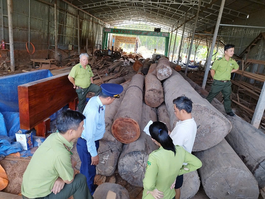 Kiểm tra, ngăn chặn mua bán, vận chuyển động vật hoang dã trái phép và lấn chiếm rừng trái pháp luật