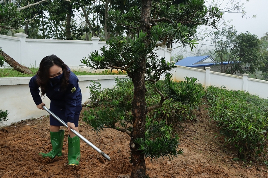 Chính thức phát động Chương trình trồng 65.000 cây xanh trong toàn lực lượng Quản lý thị trường