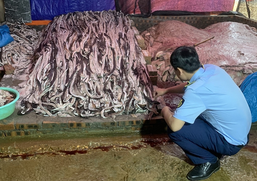 Hưng Yên: Phát hiện 1,6 tấn da trâu tươi đang bốc mùi hôi thối Hưng Yên: Phát hiện 1,6 tấn da trâu tươi đang bốc mùi hôi thối