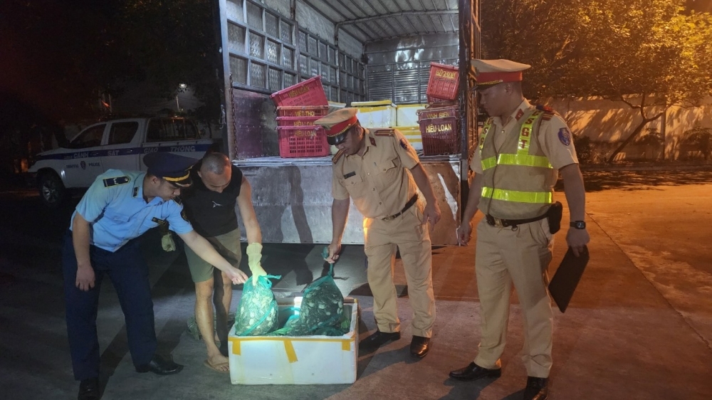 Quảng Ninh: Phát hiện, thu giữ gần 1 tấn Cua Cà Ra không rõ nguồn gốc xuất xứ